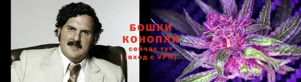 прущие грибы Михайловка
