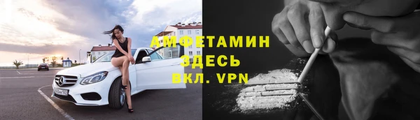 прущие грибы Михайловка