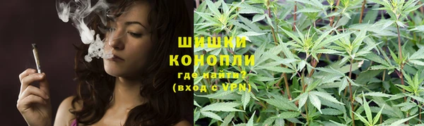 прущие грибы Михайловка
