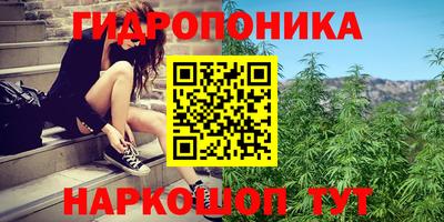 ECSTASY Жуковский