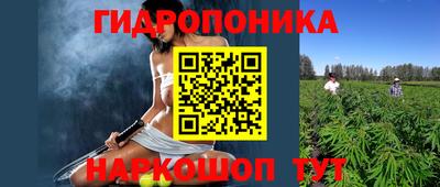 шишки Заволжье