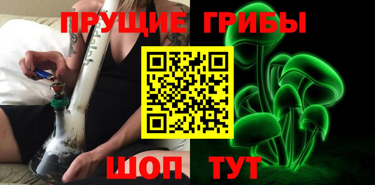 Крымск  Псилоцибиновые грибы Psilocybine cubensis  Вход с VPN 